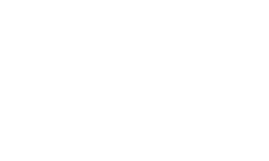 BİGG Connect